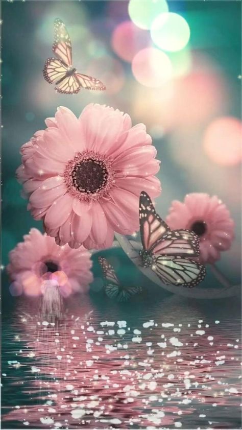 Paradise Video, Butterfly Wallpaper Backgrounds, Screen Savers Wallpapers, Flowers Photography Wallpaper, Wallpaper Flowers, Flowery Wallpaper, Iphone Wallpaper Hd Nature, Android Wallpaper Flowers, Flower Iphone Wallpaper