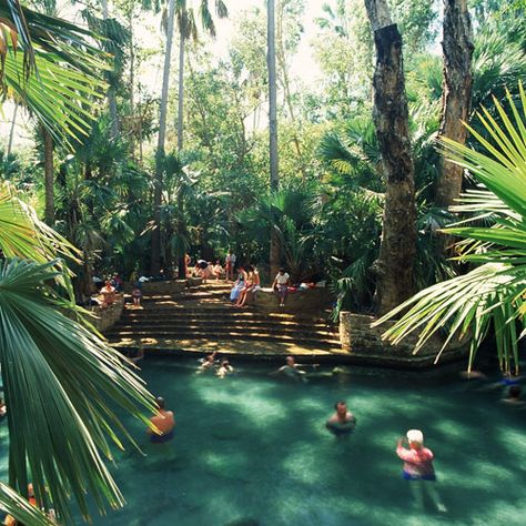 The Mataranka Hot Springs in Katherine, NT. Loved this place! The water was gorgeous. Even though you were sweating out of the water, the warm water was still an unexpected relief. I can't wait to get back up there, I'd never felt so at home away from home. ~ Meg Northern Australia, Darwin Nt, Aussie Girl, Travel Album, Australia Travel Guide, Northern Territory, Beautiful Sights, Incredible Places, Australia Travel