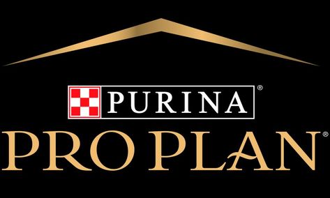 Pro Plan® Puppy Food | Purina® Canada Feeding Puppy, Puppy Formula, Best Puppy Food, Pet Shop Logo, Pro Plan, Purina Pro Plan, Online Logo Design, Wet Dog Food, Dry Cat Food