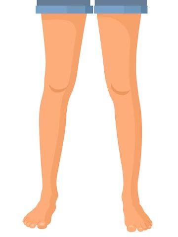 Premium Vector | Vector human legs, vector illustration for advertising, medical (health care) publications Leg Animation, Legs Illustration, Leg Illustration, Cartoon Legs, Human Legs, Medical Health Care, Human Leg, Man Illustration, Graphic Design Business