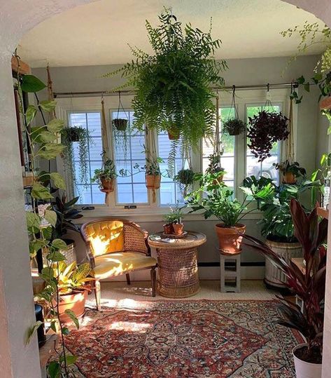 Earthy Room Aesthetic Boho, Lots Of Plants, Earthy Bedroom, Plant Room, Sunroom Decorating, Earthy Home, Jungle Room, Deco Nature, Dekor Diy