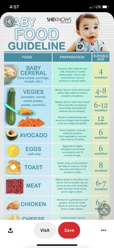 Baby Food Timeline, Nursing Foods, Baby Weaning Foods, Food For Breastfeeding Moms, Baby Food Guide, Baby Food Schedule, Baby Led Weaning First Foods, Weaning Foods, Baby Food Chart