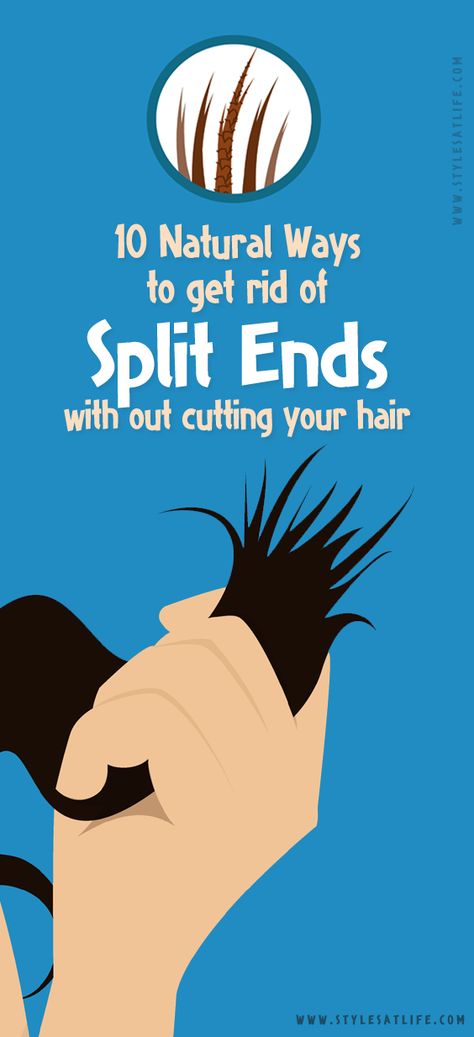 How To Heal Split Ends, How To Prevent Split Ends, How To Get Rid Of Split Ends At Home, How To Fix Split Ends, How To Get Rid Of Split Ends, Split Ends Trimming, Diy Hair Mask For Split Ends, Mask For Split Ends, Fix Split Ends