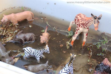 Wild Animals Sensory Bin, Dear Zoo Sensory Activities, Zoo Feeding Sensory Bin, Muddy Animals Sensory, Washing Farm Animal Sensory Bin, Dear Zoo, Animal Experiences, Childrens Table, Sensory Table