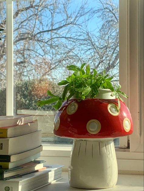 Bedroom window aesthetic Plant Pots Aesthetic, Bedroom Window Aesthetic, Aesthetic Plant Pots, Adornos Aesthetic, Plant Pot Aesthetic, Mushroom Plant Pot, Mushroom Planter, Pottery Plant Pots, Window Aesthetic