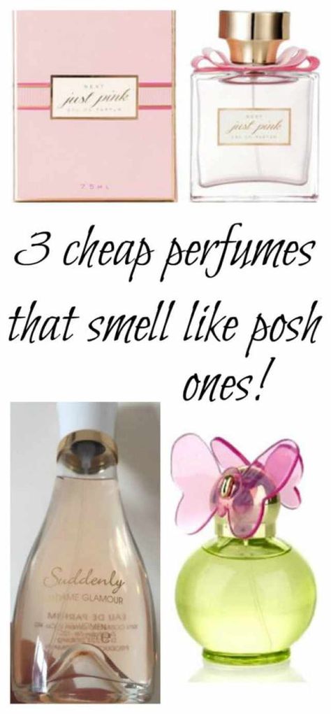 Target Fragrance, Cheap Perfumes That Smell Expensive, Cheap Perfume That Smells Good, Best Affordable Perfumes, Best Cheap Perfume, Perfume For Women Top 10, Frosty Recipe, Cheap Perfume, Lovely Perfume