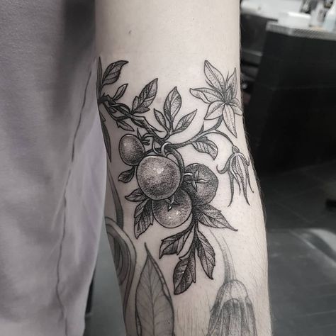 tomato tatto from lyle-street-tattoo-company Tomato Plant Tattoo Black And White, Tomato Flower Tattoo, Tomato Tattoo Black, Tomato Vine Tattoo, Tomato Plant Tattoo, Tomato Tattoo, Gardener Tattoo, Blackberry Tattoo, Sarah Tattoo