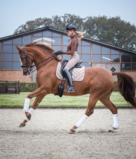 Dressage Horses Photography, Horse Riding Outfit, Cute Horse Pictures, Equestrian Aesthetic, Horse Inspiration, Horse Riding Clothes, Competition Time, Horse Aesthetic, Dressage Horses