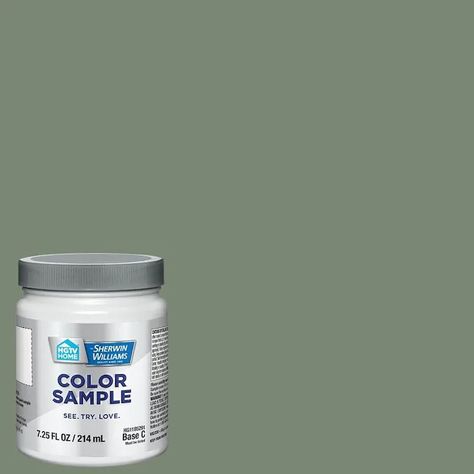 HGTV HOME by Sherwin-Williams Privilege Green Interior Paint Sample (Half Pint) in the Paint Samples department at Lowes.com Green Interior Paint, Blue Interior Paint, Grey Interior Paint, Sherwin Williams Blue, White Interior Paint, Sea Salt Sherwin Williams, Teal Interiors, Sherwin Williams Gray, Greige Paint