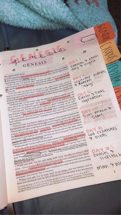 Bible Annotating Ideas, Genesis Aesthetic Bible, Bible Doodles Genesis, Genisis Bible Notes, Bible Genesis Notes, Genesis Highlighting, Genesis Annotations, Bible Notes For Genesis, Bible Annotations Genesis