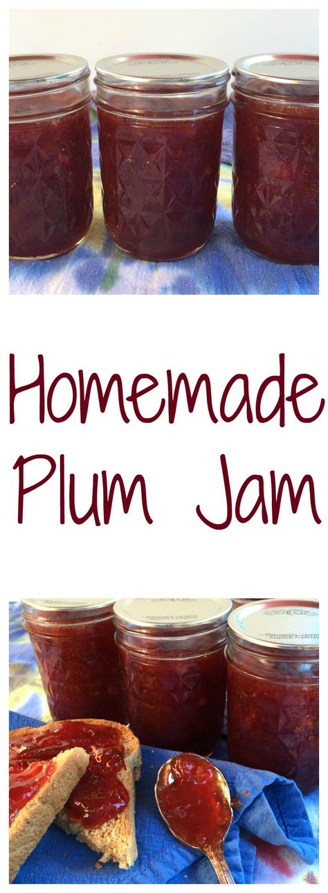 Plum jam made with just two ingredients: plums and sugar Homemade Plum Jelly, Plum Jelly Recipes For Canning, Plum Jelly Recipe, Canning Jelly, Jelly Making, Texas Kitchen, Recipe For Beginners, Plum Recipes, Homemade Jelly