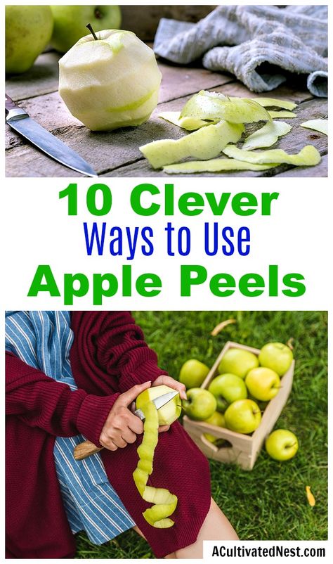 Apple Peel Recipe, Recipe Using Apples, Leftover Apples, Dehydrated Apples, Grocery Savings Tips, Living Frugal, Fried Apples, Dried Apples, Dehydrated Food