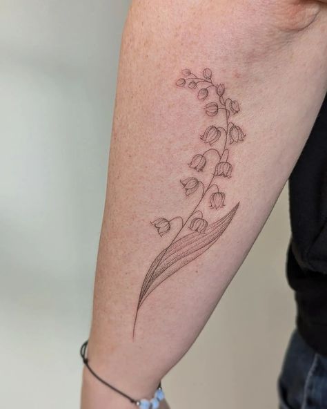 I love it when Chara's name pops up on my enquiry form (which is still open by the way!). 🤗 We hand poked a bespoke Lily of the valley and did a top up on her healed Lenten rose. Thank you for your patience (as always) and the goodies! 😍 Lily Of The Valley Tattoo Sleeve, Lily Of The Valley Drawing Tattoo, Lily Of The Valley Meaning, Tattoo Lily Of The Valley, Lily Of The Valley Tattoo, Valley Tattoo, Lenten Rose, Hand Poke, Lily Of The Valley