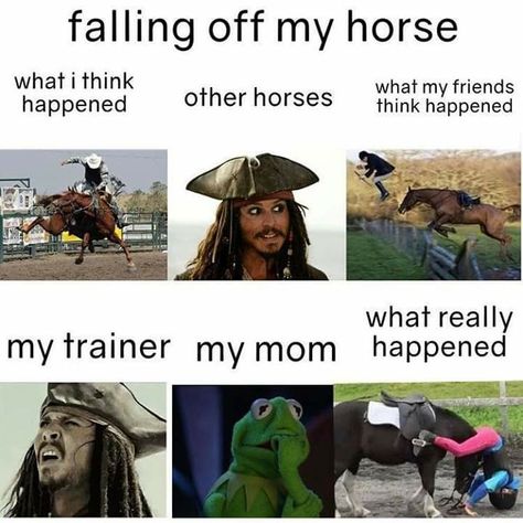 Equestrian Funny, Equestrian Memes, Funny Horse Memes, Horse Meme, Horse Quotes Funny, Funny Horse Videos, Funny Horse Pictures, Horse Jokes, Inspirational Horse Quotes