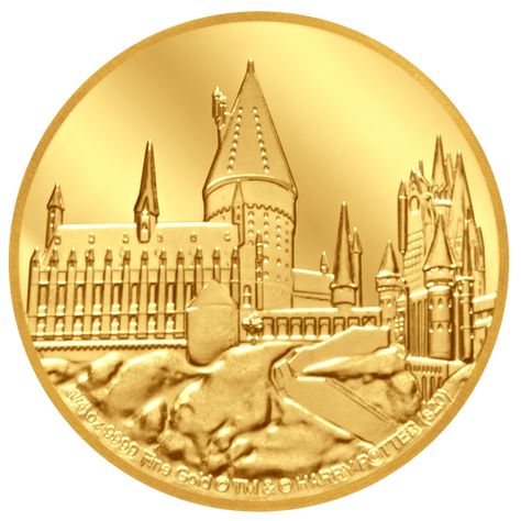 Harry Potter Coins, School Of Magic, Harry Potter Hogwarts Castle, Gold Bullion Coins, Harry Potter Stories, British School, School Of Witchcraft, Money Notes, Hogwarts Castle