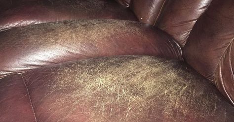 Can anything be done to salvage the looks of a worn leather couch? How To Restore Leather Couch, Worn Leather Couch, Restoring Leather Couch, Leather Couch Repair, Couch Repair, Faux Leather Couch, Leather Restoration, Brown Leather Couch, Diy Projects Gifts