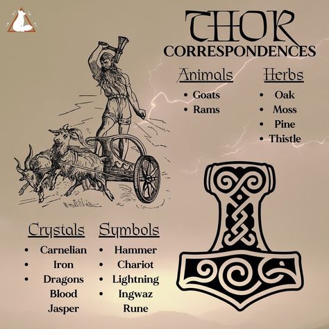 Thor Correspondences and some items in the shop. Full list of items for Thor in the shop #thor #norsegods #heathen #pagan #witch Thor God Norse Mythology, Thor God Of Thunder Norse Mythology, Seidr Magic Norse Mythology, Thor Offerings, Tyr Tattoo Norse Mythology, Thor Altar, Thor Deity, Working With Deities, Thor Norse Mythology