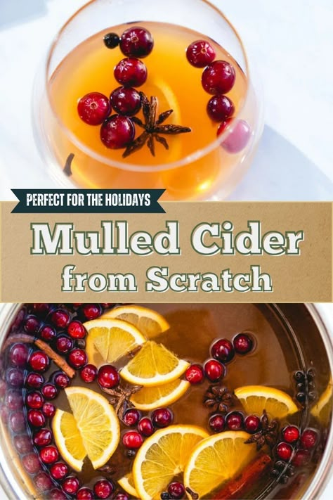 Mulled cider is the very best cozy drink! Infused with spices like cinnamon and cloves, you can make it in a slow cooker or on the stove (and enjoy that aroma!). #mulled #cider #recipe #cozy #fall #winter Hot Mulled Apple Cider, Mulled Apple Cider Recipe, Mulled Cider Spices, Hot Mulled Cider, Mulled Cider Recipe, Cold Dip Recipes, Mulled Apple Cider, Best Fish Recipes, Winter Salad Recipes