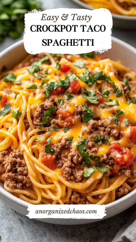 Easy Go To Meals, Crock Pot Cheap Dinners, Good With Ground Beef, Aldi Crockpot Recipes, Easy Fast Cheap Dinners, Crockpot Beef Ideas, East Fast Dinner Ideas, Taco Spaghetti Crockpot Recipes, Crockpot Taco Spaghetti Crock Pot