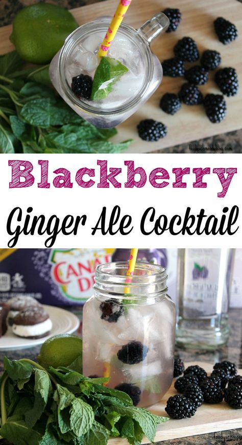 A light and refreshing cocktail boasting the fruity flavors of spring/summer.  Wonderful choice for brunches or any springtime party!  #BlackberryAffair #ad Ginger Ale Cocktail, Vodka Lime, Refreshing Cocktail, Berries Recipes, Mixed Drinks Recipes, Ginger Recipes, Delicious Cocktails, Refreshing Cocktails, Ginger Ale