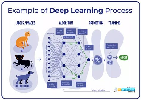 Introduction to Deep Learning - The Engineering Projects Deep Learning Algorithm, Big Brain Energy, Machine Learning Projects, Research Methodology, Computer Science Programming, Data Science Learning, Machine Learning Deep Learning, Brain Energy, Computer Learning