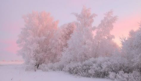 Still Awake, Art Examples, Angel Devil, Pink Winter, Winter Scenery, Winter Aesthetic, Pink Christmas, Pretty Pictures, Winter Wonderland