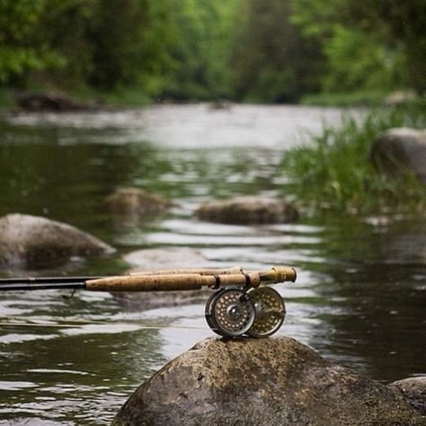 Fishing Aesthetic, Trout Fishing Gear, Fly Fishing Tips, Fly Fisherman, Gone Fishing, Trout Fishing, Best Fishing, Fishing Equipment, Sea Fish