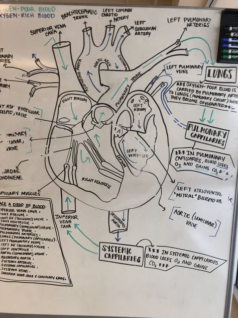 Whiteboard art Study With White Board, Bedroom Whiteboard Aesthetic, Whiteboard Studying Aesthetic, Whiteboard In Room Aesthetic, Whiteboard Study Aesthetic, Whiteboard Studying, Whiteboard Aesthetic, Whiteboard Ideas Bedroom, Whiteboard Notes