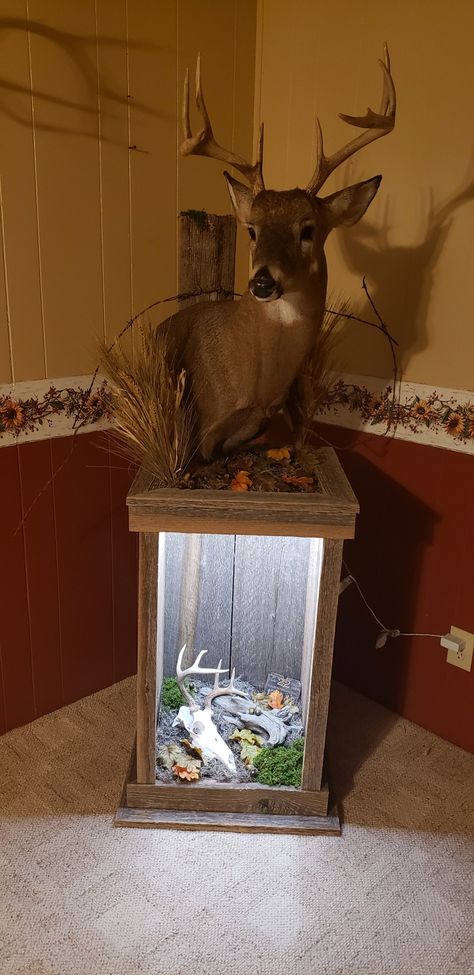 Had this pedestal and mount done. Includes a euro mount and a tin Pennsylvania hunting license along with led lighting. Deer Mount Decor, Deer Mount Ideas, Deer Hunting Decor, Deer Skull Mount, Deer Head Decor, Deer Heads Mount, Tree Drawing Simple, Taxidermy Decor, Deer Heads