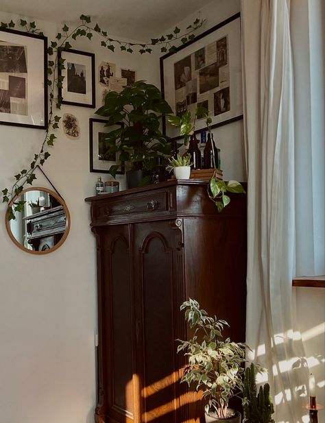 Dark Academia X Cottagecore, Dark Maximalism, Academia Room Decor, Academia Home, Dark Academia Bedroom, Dark Academia Room Decor, Academia Bedroom, Dark Academia Room, Academia Room