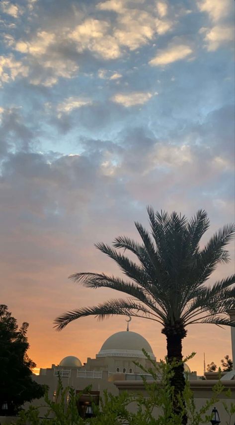 Sunset
Cloudy
Mosque
Palm tree
Blue sky Sunset Mosque, Mosque Aesthetic, Sunset Pictures, The Sunset, Vision Board, Quick Saves