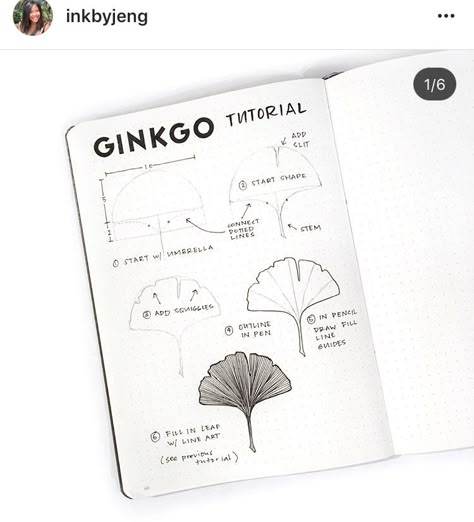 Easy Draw, Botanical Line Drawing, Flower Drawing Tutorials, Draw Flowers, Flower Sketches, Ginkgo Leaf, Bullet Journal Doodles, Flower Doodles, The Grand Canyon