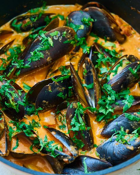 Mussels In Creamy & Spicy Tomato Sauce Recipe - Delice Recipes Mussels Linguine, Mussels Recipe Tomato, Best Mussels Recipe, Mussels Pasta, Sauce Video, Seafood Dinner Recipes, Mussels Recipe, Marinated Shrimp, Spicy Tomato Sauce