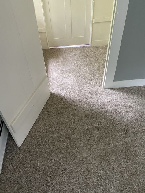 Champagne Carpet, Taupe Carpet, Room Makeover Inspiration, Floor Installation, Dream Home Design, Room Makeover, Champagne, Carpet, House Design