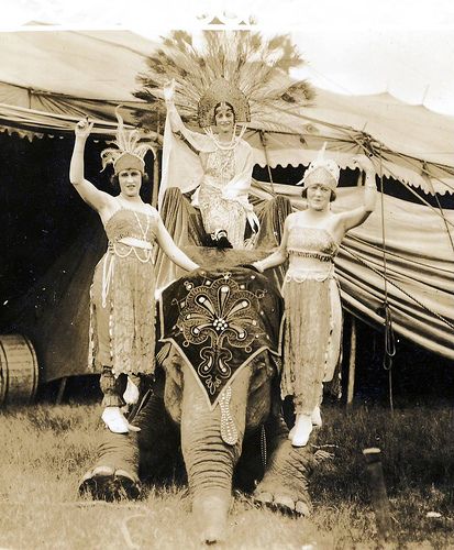 Scan000010446 by bucklesw1, via Flickr Circus Ephemera, Vintage Circus Performers, Christmas Circus, Circus Pictures, Circus Freaks, Old Circus, Showgirl Costume, Circus Sideshow, Circus Train