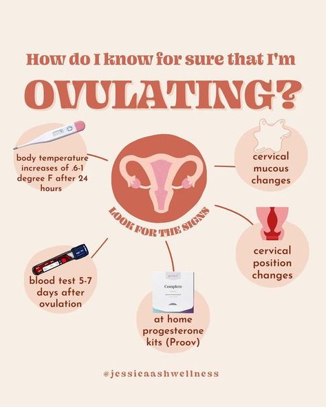 Cycle Tracking, Help Getting Pregnant, Ovulation Cycle, Fertility Tracking, Fertility Awareness Method, Mother Health, Ovulation Test, Fertility Awareness, Fertility Health