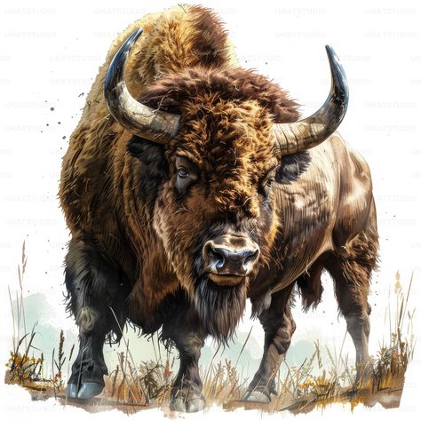 Buffalo wall art