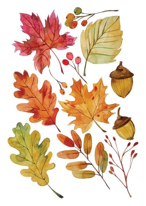 Fall Leaves Outline, Fall Elements, Winter Leaves, Leaf Outline, Leaf Clipart, Leaf Illustration, Floral Pattern Design, Leaves Fall, Hand Draw