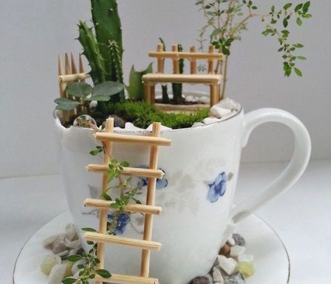 Fairy Gardens Diy, Small Fairy Garden, Tea Cup Garden, Teacup Gardens, Teacup Crafts, Mini Gardens, Diy Fairy, Fairy Garden Diy, Tea Garden