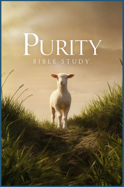 A lamb standing on a grassy path under soft sunlight, with the words "Purity Bible Study". Understanding Scripture, Prayer Journal Template, Pure Intentions, Prayer Journal Printable, Connection With God, Jesus Teachings, Pure Life, Personal Bible Study, Biblical Teaching