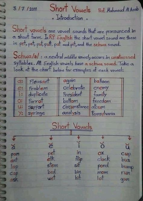 English Phonetics, Teaching Cursive Writing, Basic English Grammar Book, Animals Quotes, Cvc Words Kindergarten, English Grammar Book, Phonics Rules, Teaching Spelling, Basic English