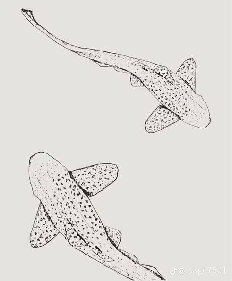 Leopard Shark Tattoos, Line Art Drawings Ocean, Reef Shark Tattoo Simple, Fine Line Animal Drawing, Fineline Whale Shark Tattoo, Leopard Shark Tattoo Fine Line, Simple Lower Back Tattoos For Women, Ocean Fineline Tattoo, Whale Shark Fine Line Tattoo