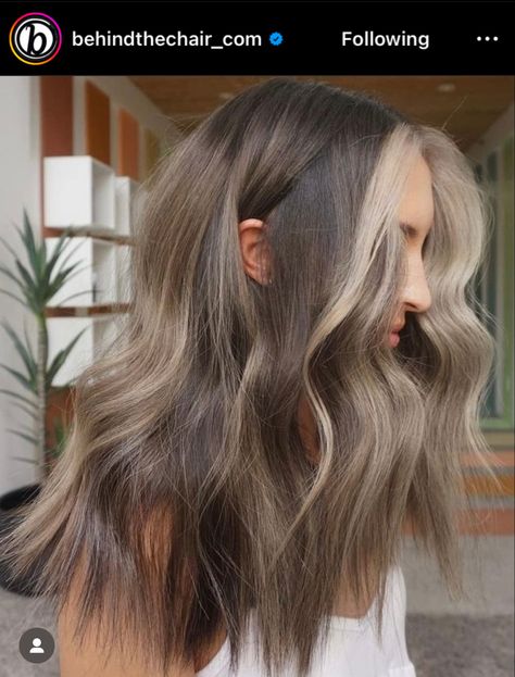 Ash Brown Hair With Highlights, Light Ash Brown Hair, Money Piece Hair, Trend Ideas, Medium Brown Hair, Hair Adviser, Money Piece, Brown Hair With Blonde Highlights, Hair Trend