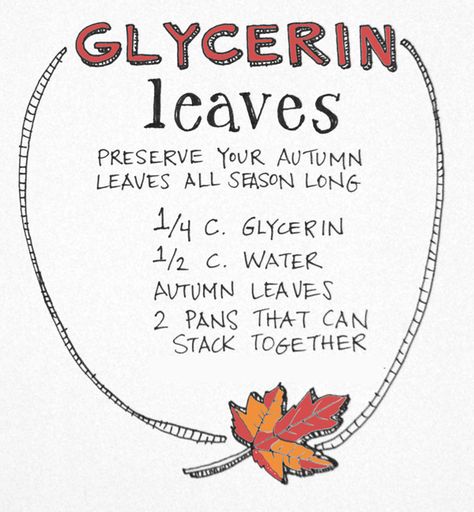 How To Preserve Fall Leaves, How To Preserve Leaves With Glycerin, Preserve Fall Leaves How To, Fall Leaves Crafts, Preserve Leaves With Glycerin, Laminating Fall Leaves, Nature Crafts For Adults Diy, Pressed Autumn Leaves, Pressed Fall Leaves Framed