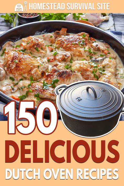 Dutch Oven Cooking Camping, Homesteading Dinner Recipes, Gf Dutch Oven Recipes, Camping Food Dutch Oven, Dutch Oven Cooking Over Campfire, Recipes For Lodge Dutch Oven, What To Cook In A Dutch Oven Easy Recipes, Dutchoven Campfire Recipes, Dutch Oven Chicken Recipes For Camping