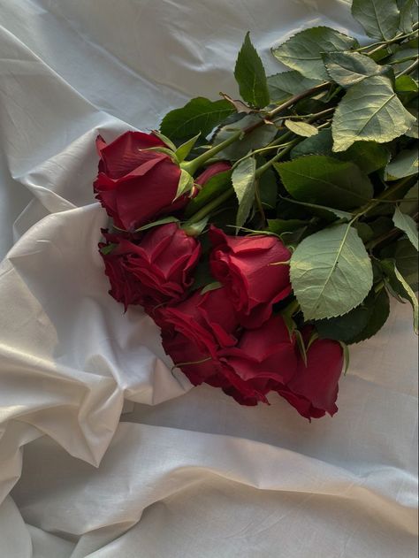 Red rose | Flower therapy, Beautiful bouquet of flowers, Beautiful rose flowers Dozen Roses Aesthetic, Long Stem Red Roses, Red Roses Aesthetic Bouquet, 5 Roses Bouquet, Soft Flowers Aesthetic, Aesthetic Flowers Bouquets, Bouquet Of Red Roses Aesthetic, Rose Flower Aesthetic Red, Bouquet Of Roses Aesthetic