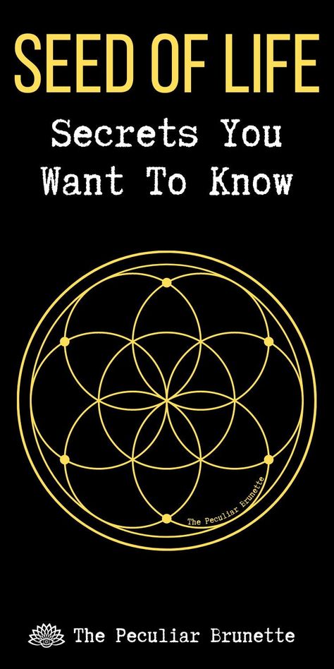 One of the most profound spiritual symbols is the Seed of Life found within the ancient sacred geometry symbols. It reminds us we’re all connected and part of the same Universe.This article will explore the Seed of Life’s meaning, history, origin, its correlation to the Flower of Life, and how to incorporate this beautiful symbol into your spiritual practice. #peculiartips Seed Of Life Art, The Flower Of Life, Seed Of Life Meaning, The Seed Of Life, Seed Of Life Tattoo, Seed Of Life Tattoo Sacred Geometry, Seed Of Life Symbol, Sacred Geometry Tree Of Life, Alchemy Symbols Sacred Geometry