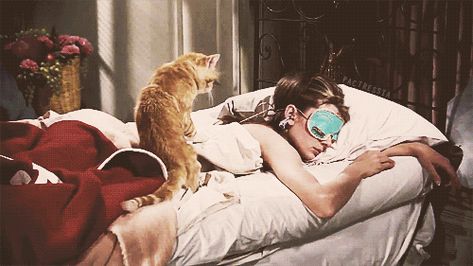 ♡ Pinterest : @1kco0zwe8r4mzzk. Breakfast At Tiffany's Quotes, Breakfast At Tiffany's Movie, Movie Bedroom, Holly Golightly, Breakfast At Tiffanys, Chuck Norris, Cat Quotes, Olivia Palermo, Classic Movies