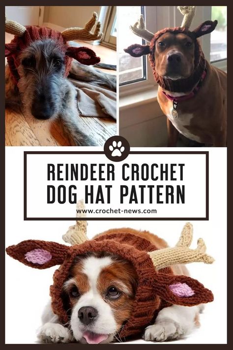 Dog Reindeer Hat Crochet Pattern Crochet Reindeer Hat For Dogs Free Pattern, Crochet Dog Reindeer Hat Pattern, Dog Winter Hat Crochet Pattern, Crochet Dog Christmas Hat Free Pattern, Crochet Dog Hat Free Pattern Medium, Crochet Antlers Pattern Free, Crochet Hat For Dogs Free Pattern, Crochet Dog Hat Free Pattern Large, Crochet Dog Snood Free Pattern