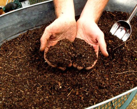 How to Make Your Own Compost | Greenhouse Stores Storing Root Vegetables, Organic Liquid Fertilizer, Composting 101, Diy Compost, Liquid Fertilizer, Soil Health, Healthy Vegetables, Organic Fertilizer, Root Vegetables